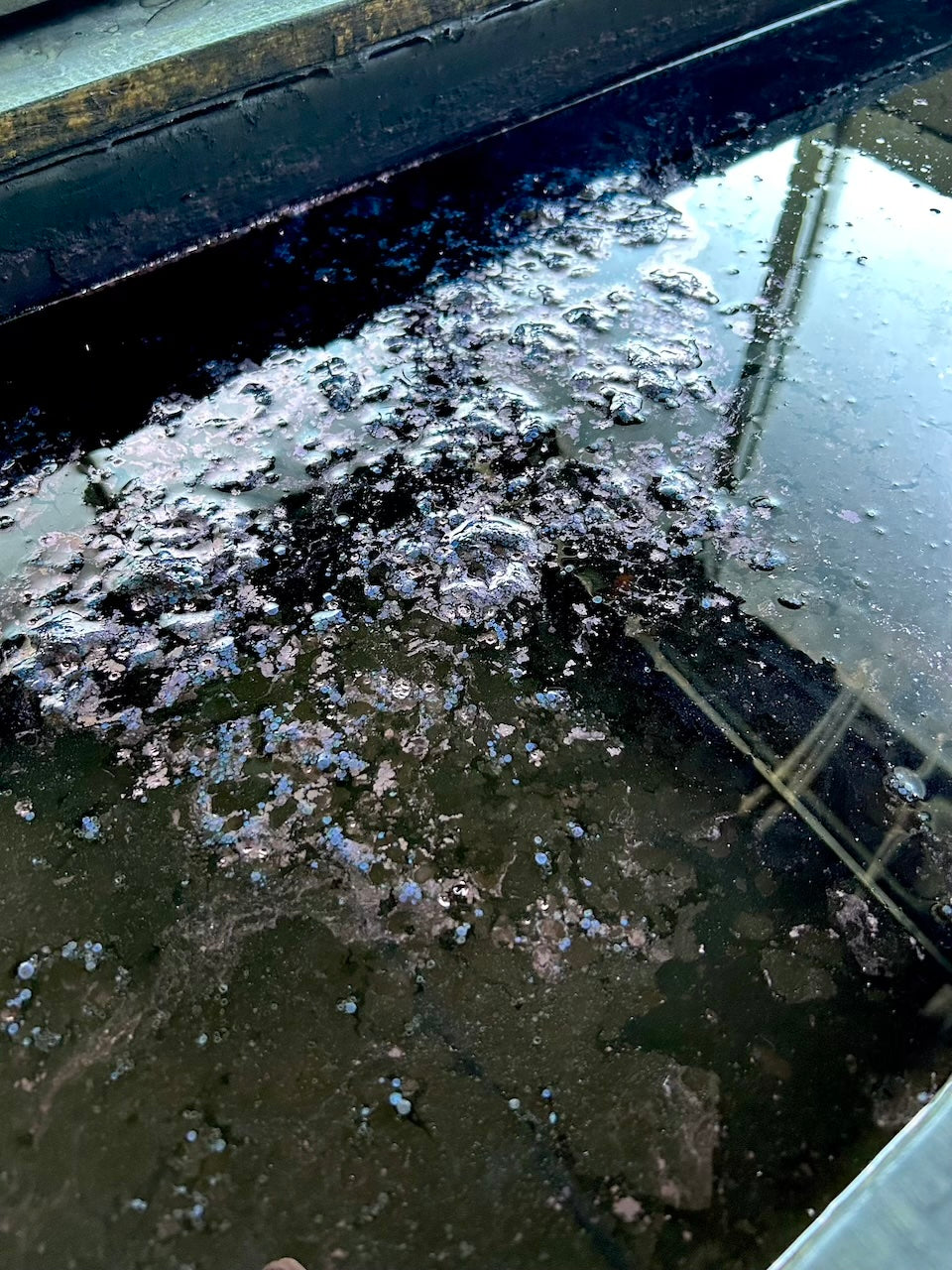 Sashiko Baseball Cap / Mid Indigo "Ichimatsu"