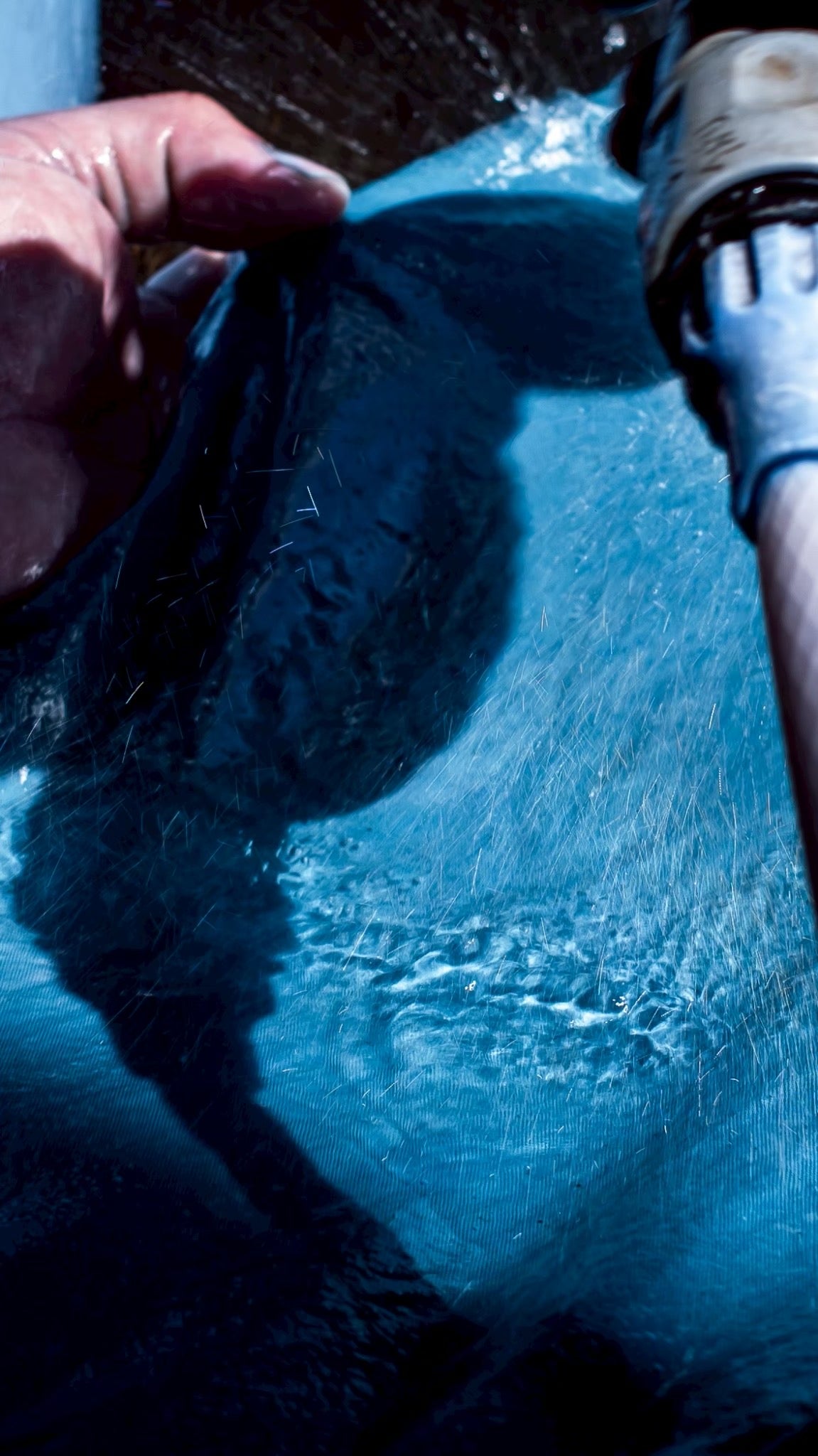 藍染手拭い 無地 文